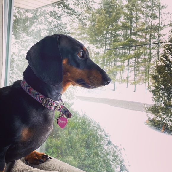 Meet your Posher, Sarah - Picture 1 of 1